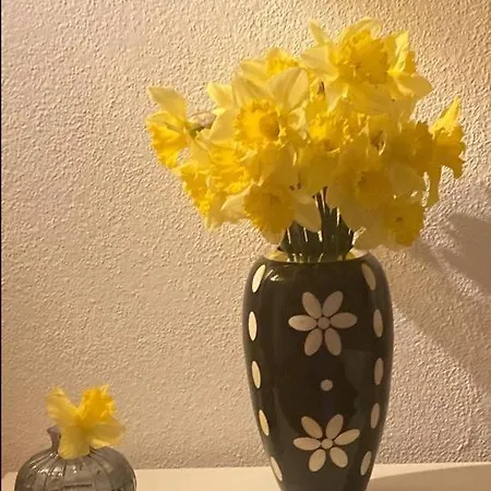Serravalle - Casermetta Apartment